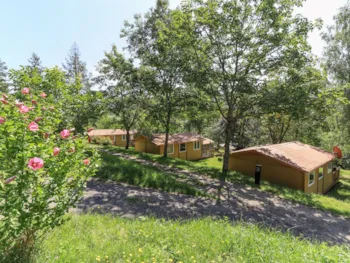 Mietunterkunft - Standard-Chalet 28M² - 2 Schlafzimmer - Überdachte Terrasse - Flower Camping du Lac de Saint Point  Lamartine - Saône et Loire - Bourgogne du Sud 