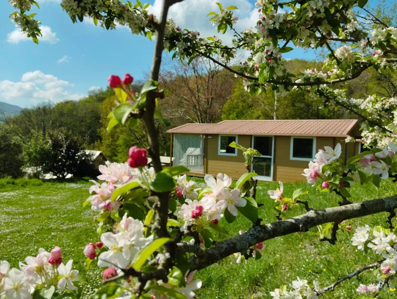 Chalet Standard 28M² - 2 Chambres - Terrasse Couverte