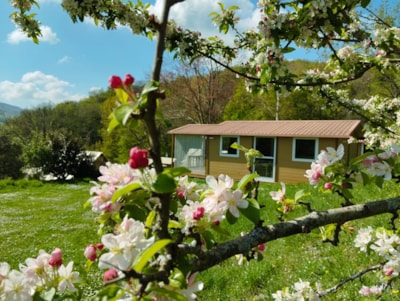 Chalet Standard 28m² - 2 bedrooms - covered terrace - lake view - air conditioning ??