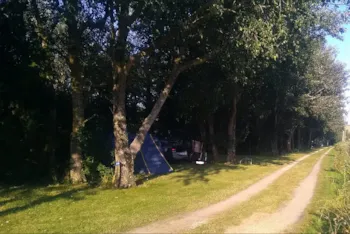 Pitch - Pitch - Camping les Brugues