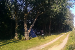 Emplacement - Emplacement Confort - Camping les Brugues