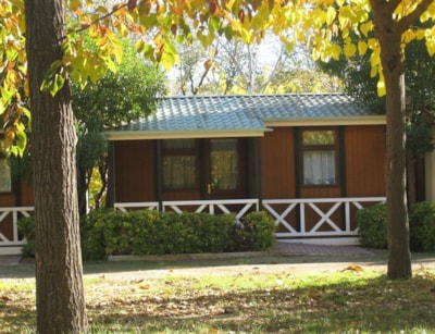Bungalow C2 — 10