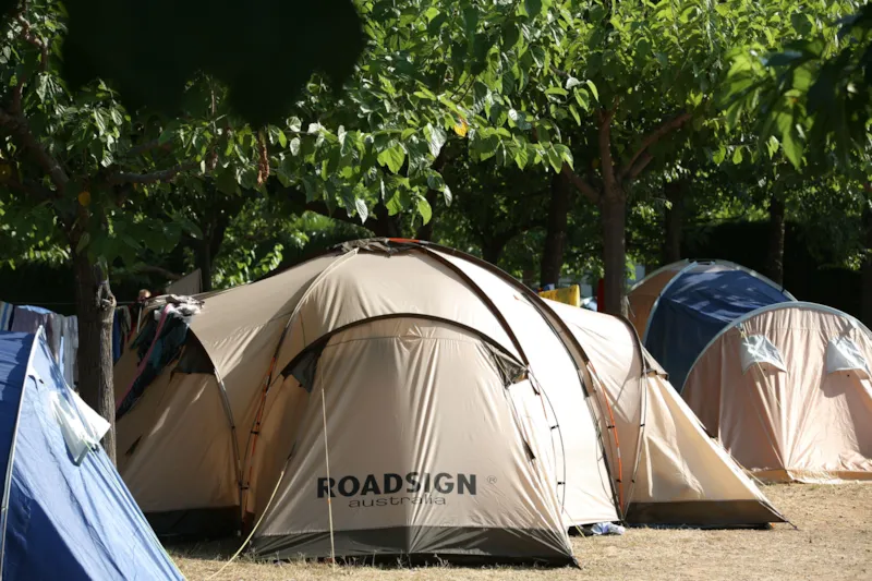 Emplacement Standard (60M²): Voiture + Tente/Caravane|Camping Car