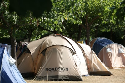 Pitch Standard (60m²) : car + tent/caravan |motorhome — 2