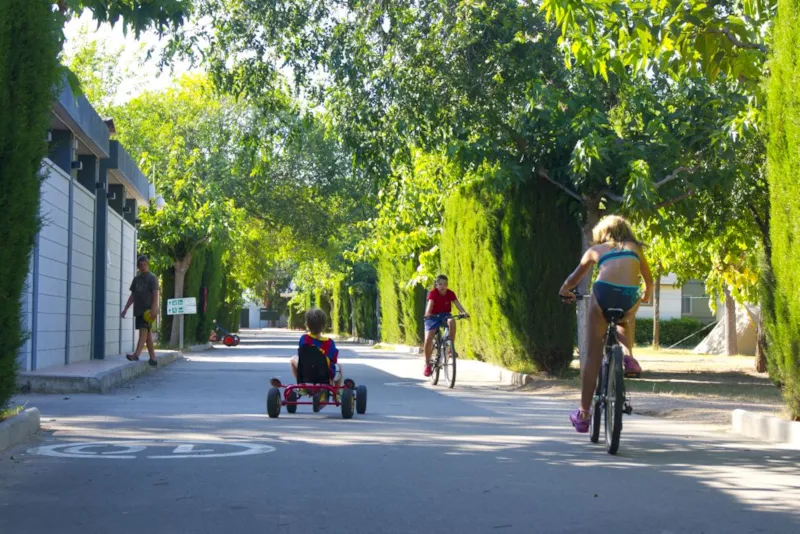 Emplacement Standard (60M²): Voiture + Tente/Caravane|Camping Car