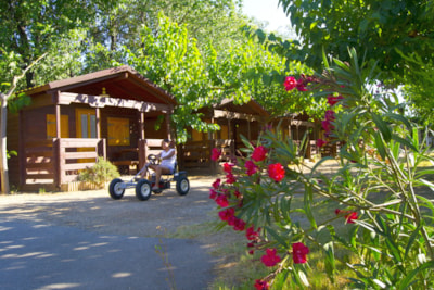 Bungalow B2 — 9