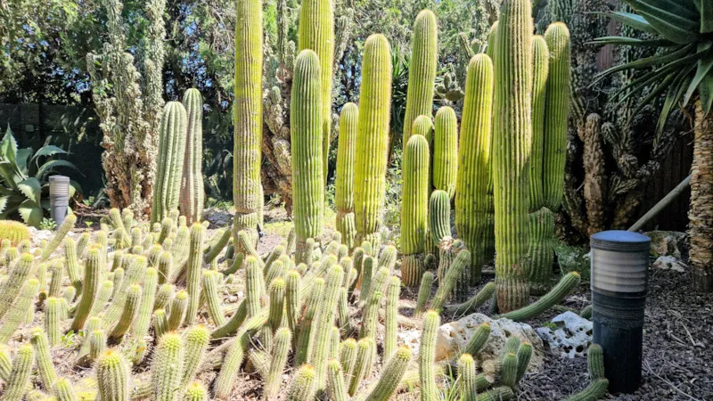 Mobil Home C3 (4 Adultes+1 Enfant+Bébé)