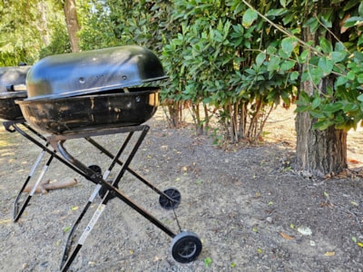 Pitch Premium (70m²) : car + tent/caravan or camping-car + Wifi — 9
