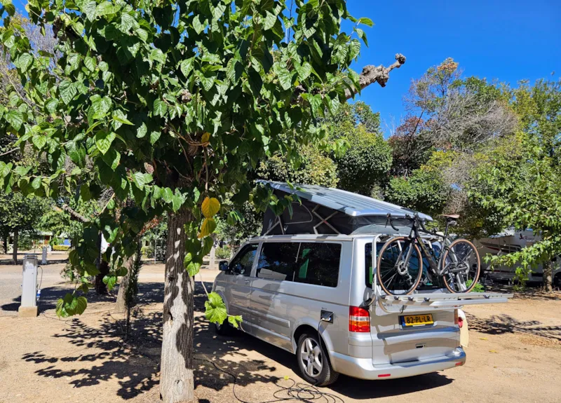 Emplacement Standard (60M²): Voiture + Tente/Caravane|Camping Car