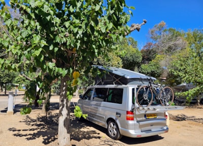 Pitch Standard (60m²) : car + tent/caravan |motorhome — 3