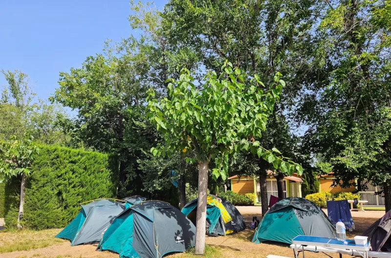 Emplacement Standard (60M²): Voiture + Tente/Caravane|Camping Car