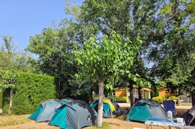 Pitch Standard (60m²) : car + tent/caravan |motorhome — 7