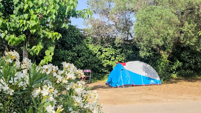 Emplacement Moto / Cycliste, Sans Véhicule