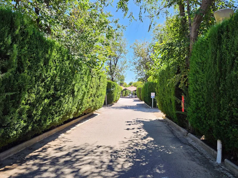 Mobil Home C20 (4 Adultes+1 Enfant+Bébé)