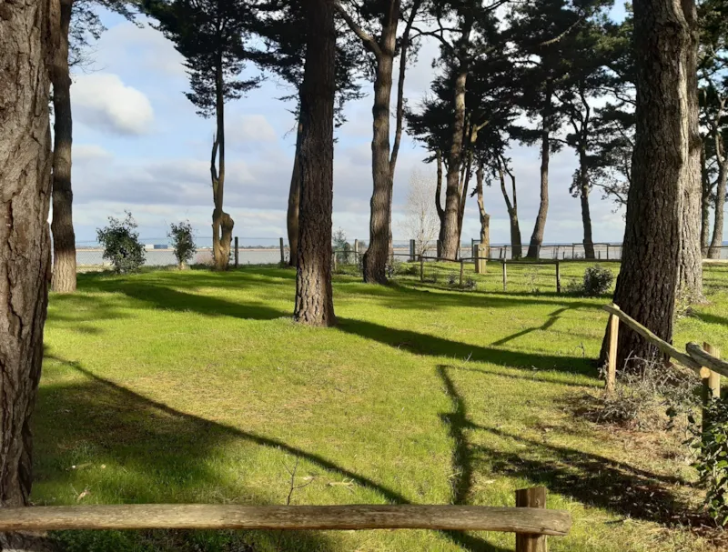 Emplacement Nu - Tente & Caravane - Sans Électricité