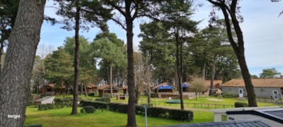 Pitch + tent , caravan - with electricity