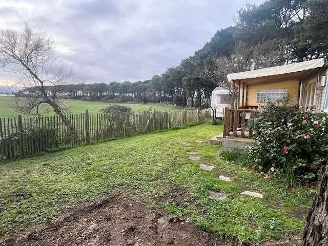 Mobil Home Confort Plus - 33M² - 3 Chambres - Terrasse Couverte