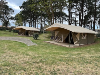 Canvas tent - 20m² - 3 bedrooms + electricity + sheltered terrace