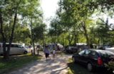 Foto #6 van Camping Le Rotja