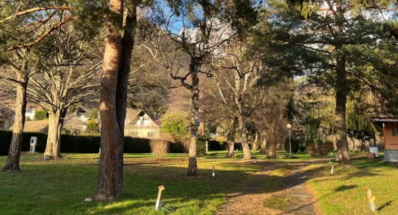 Forfait Camping (Emplacement, 2 Personnes, 1 Véhicule)