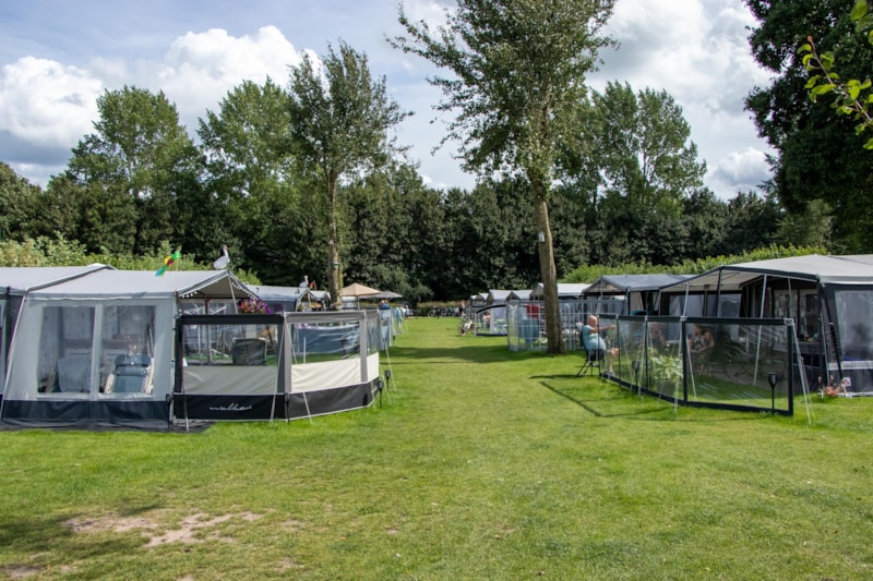 Stellplatz Komfort (Hund erlaubt)