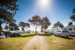 Feddet Strand Camping & Feriepark