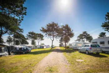 Stellplatz - Bronzeplatz - Feddet Strand Resort