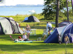 Kampeerplaats(en) - Standplaats Tent Zonder Kracht - Feddet Strand Resort