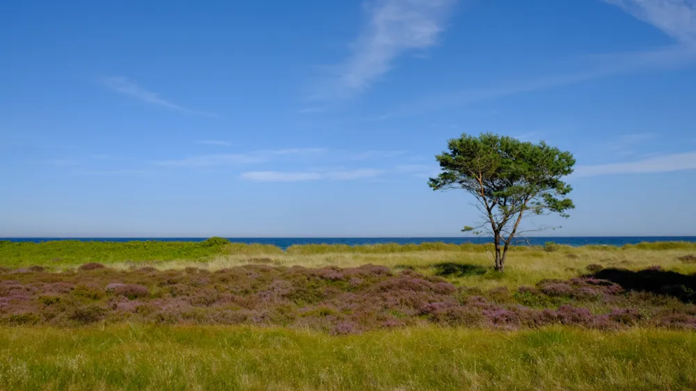 Feddet Strand Resort