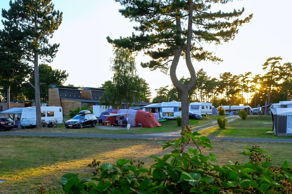 Feddet Strand Resort - image n°9 - Camping Direct