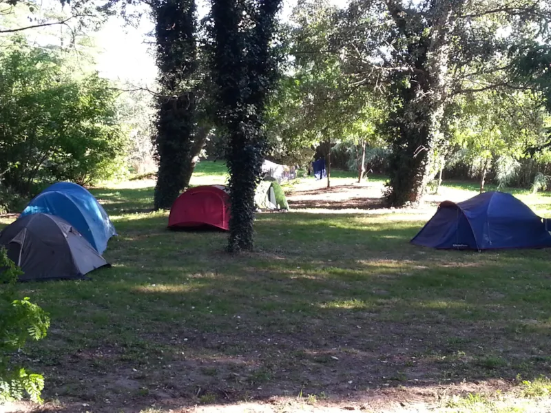 Forfait Emplacement Standard : 1 Véhicule, 1 Tente Ou Caravane Ou Camping-Car