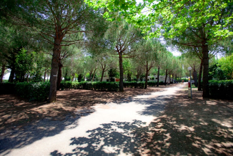 Piazzola Animali Ammessi