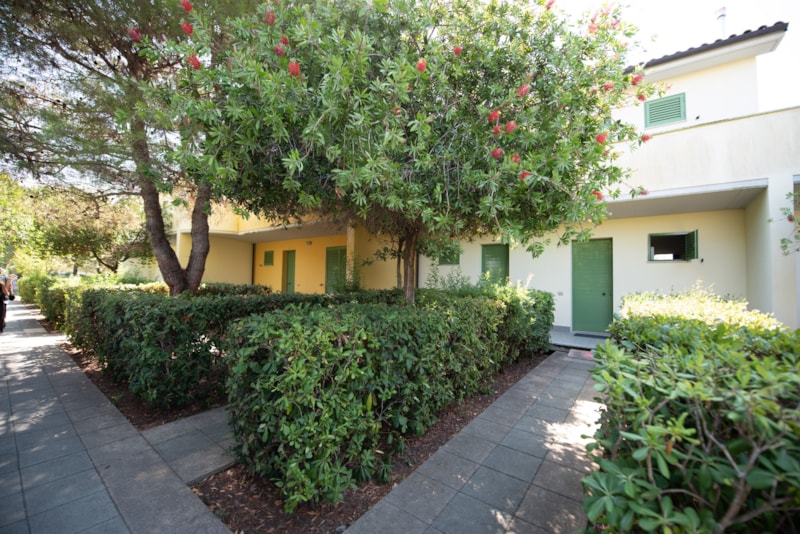 Appartamento Monolocale Comfort Animali non Ammessi