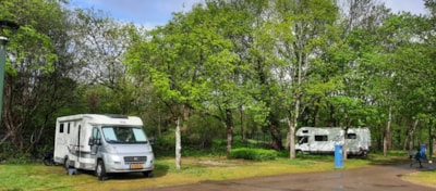 Camping package (pitch, 2 people, 1 vehicle)