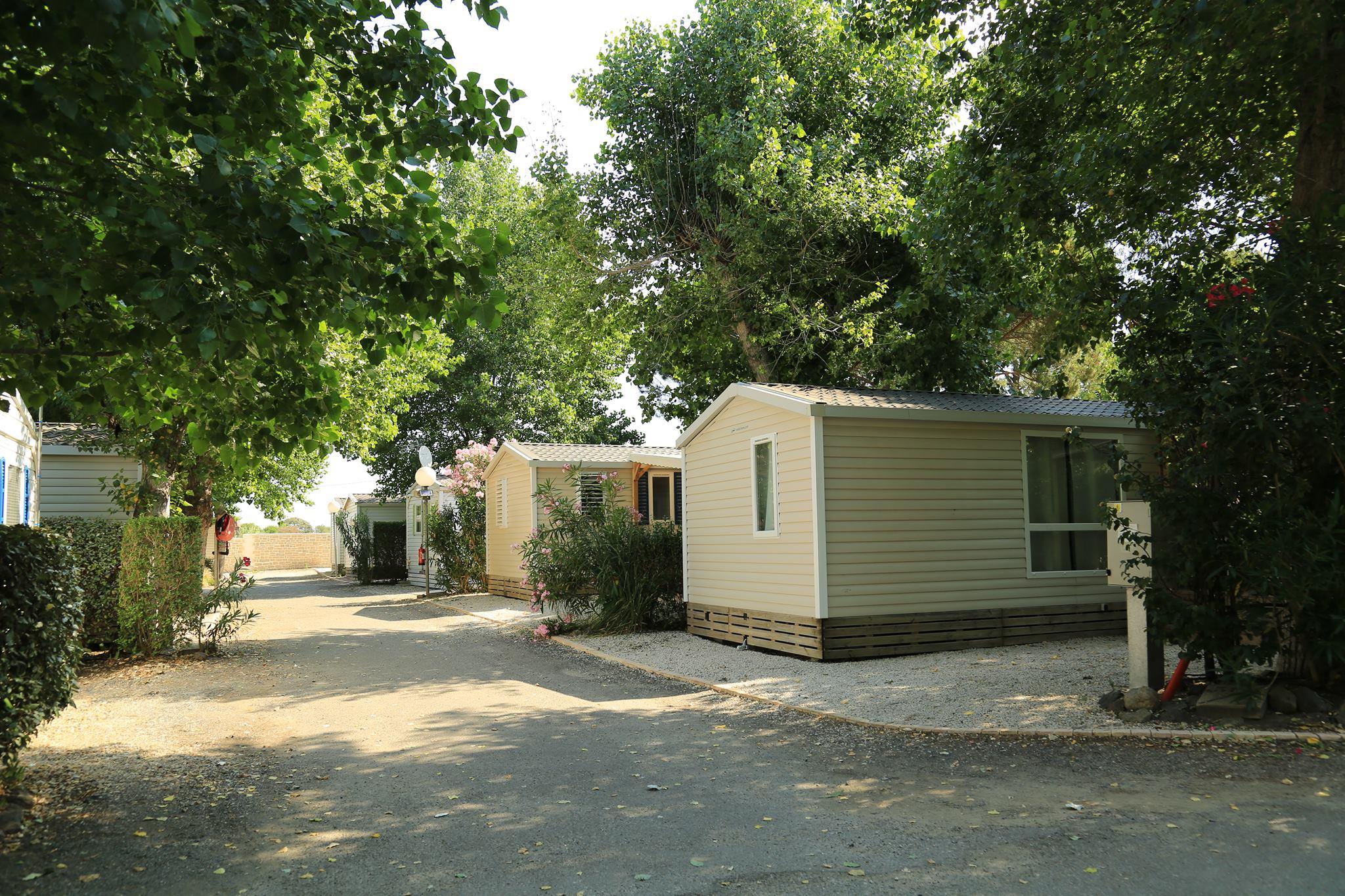 Camping Les Jardins D'Agathe Camping Les Jardins D'Agathe