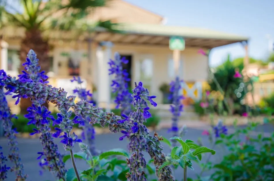 Camping Les Jardins d'Agathe