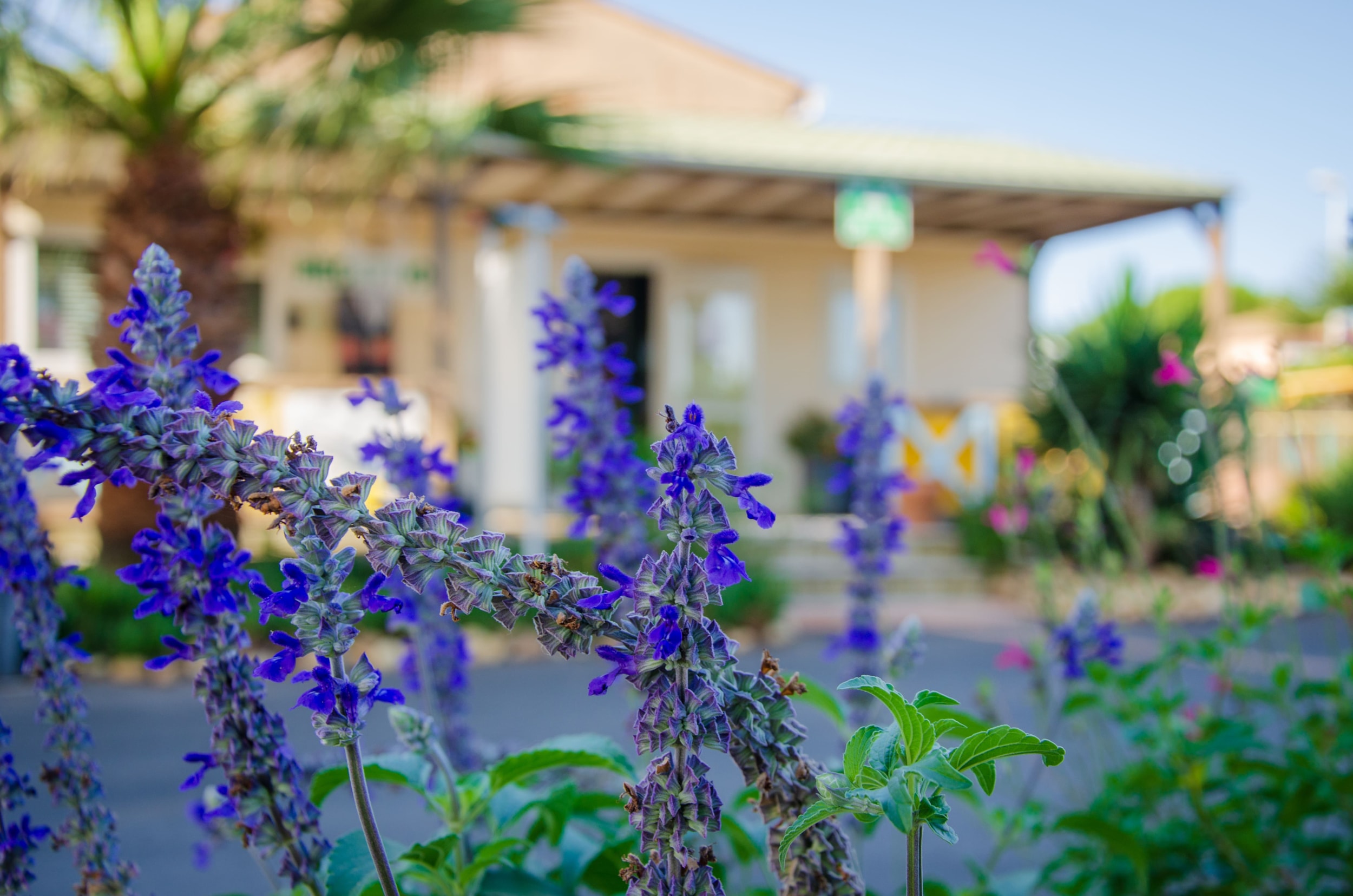 Camping Les Jardins d'Agathe Maeva Escapades — Photo 2