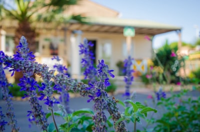 Camping Les Jardins d'Agathe Maeva Escapades