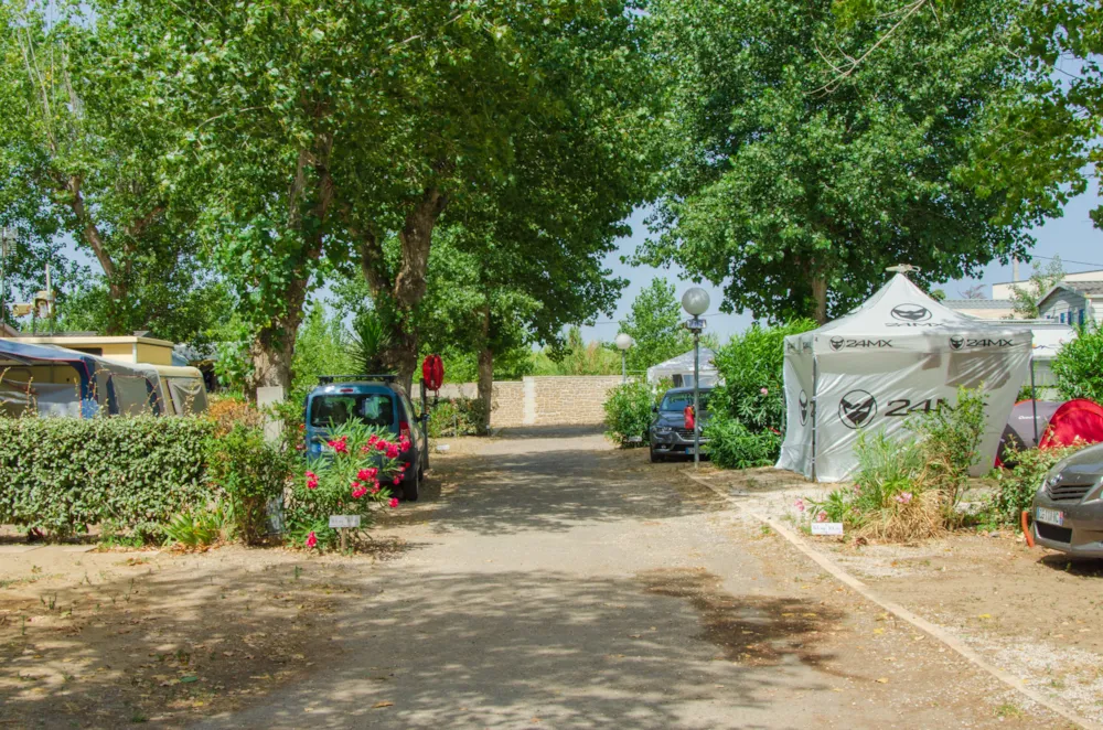 Camping Les Jardins d'Agathe - image n°5 - Camping Direct