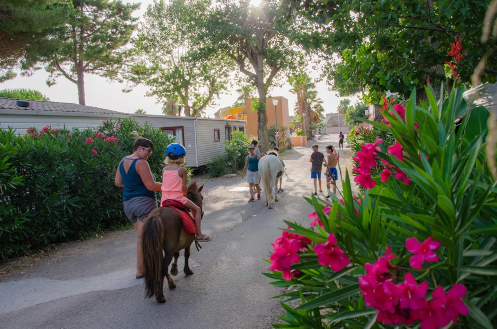 Camping Les Jardins d'Agathe