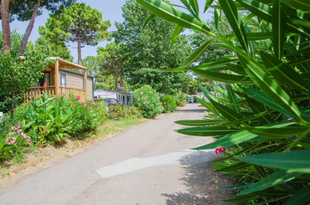 Camping Les Jardins d'Agathe