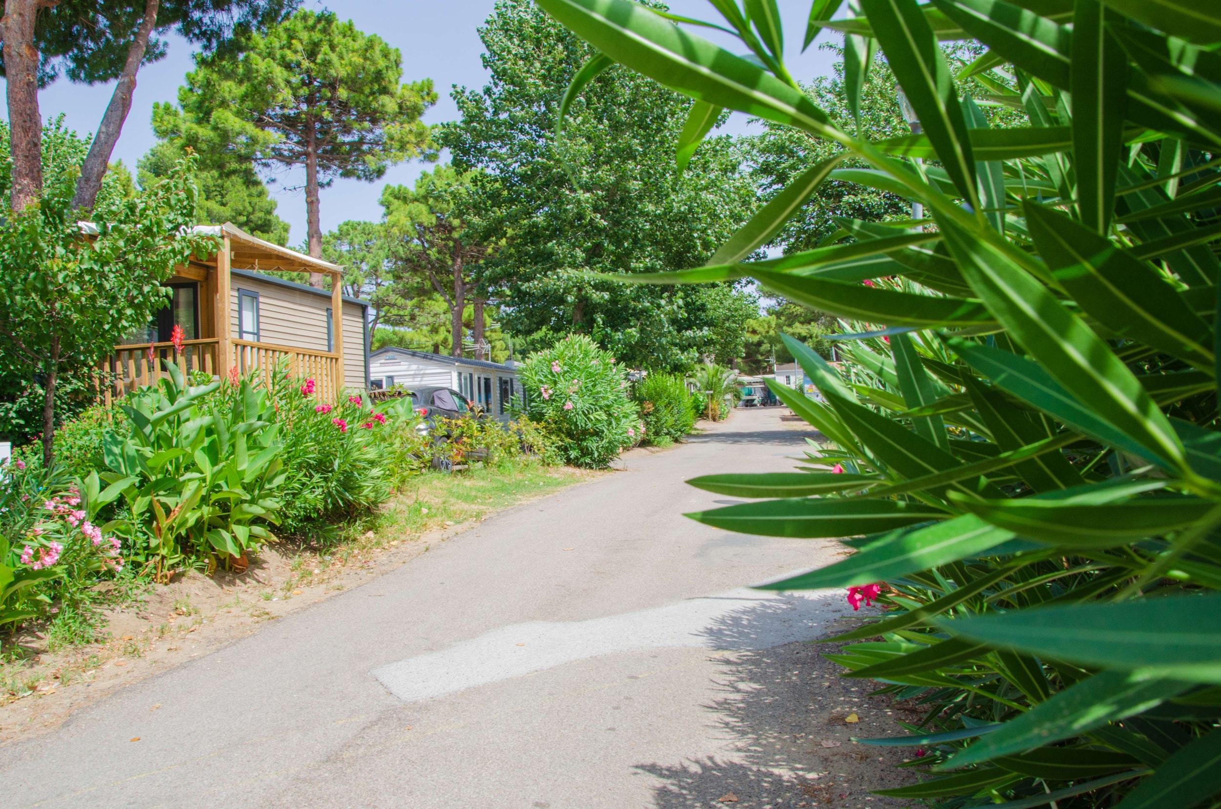 Camping Les Jardins d'Agathe Maeva Escapades — Photo 5