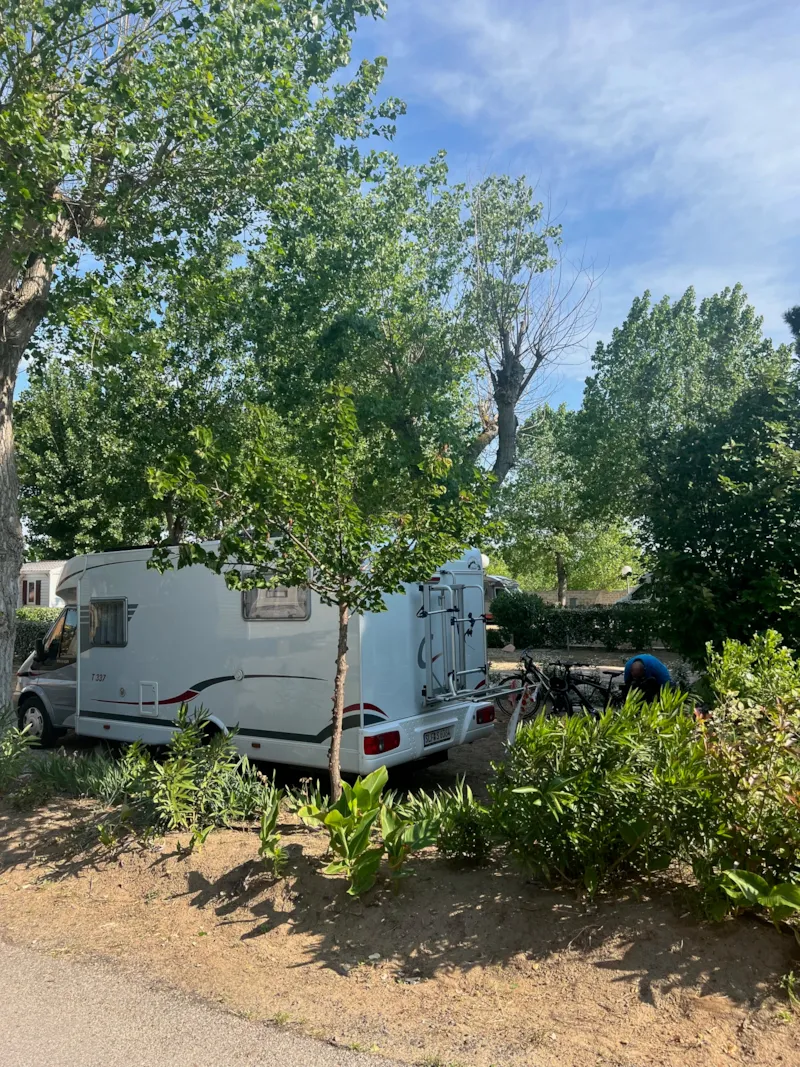 Forfait Emplacement Confort (Tente, Caravane Ou Camping-Car /1Voiture / Élec 16A) Eau Et Évacuation