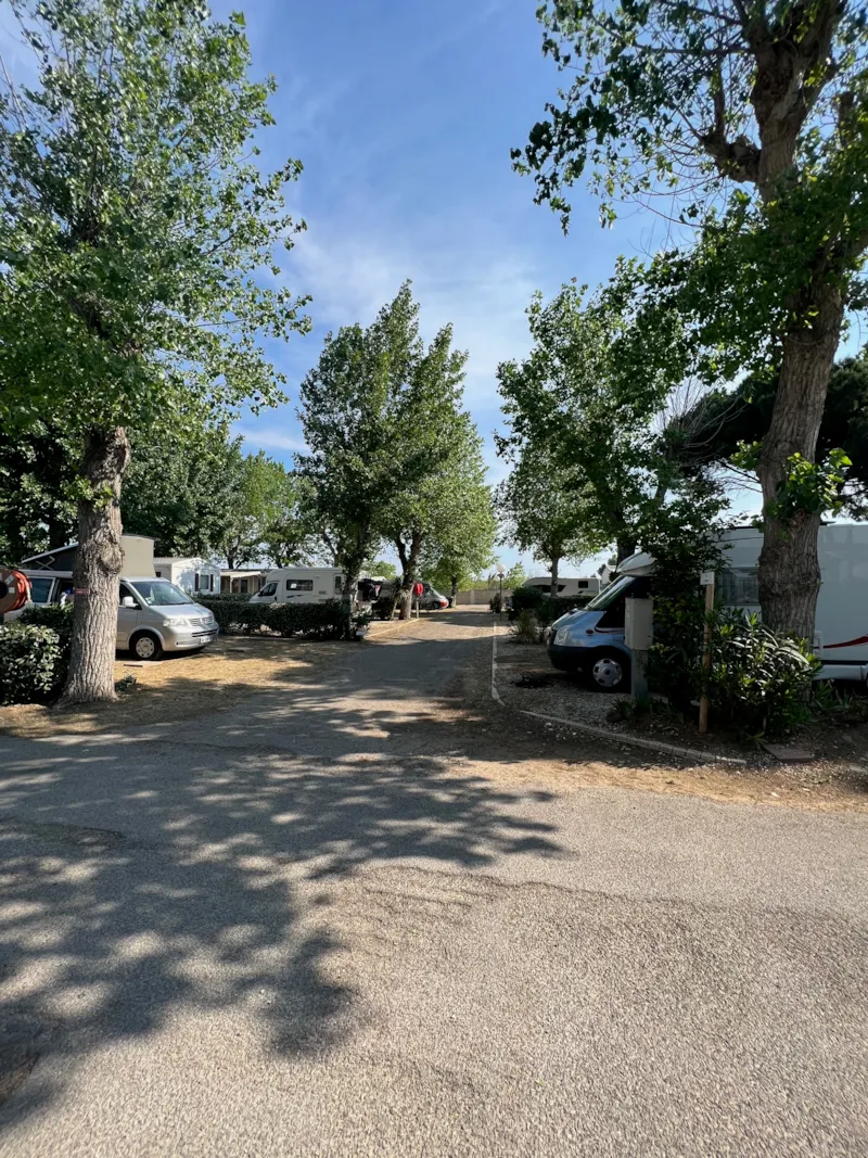 Forfait Emplacement Confort (Tente, Caravane Ou Camping-Car /1Voiture / Élec 16A) Eau Et Évacuation