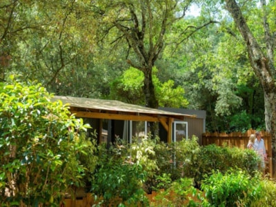 Cottage 4p 2ch 2bath Premium air-conditioned — 3