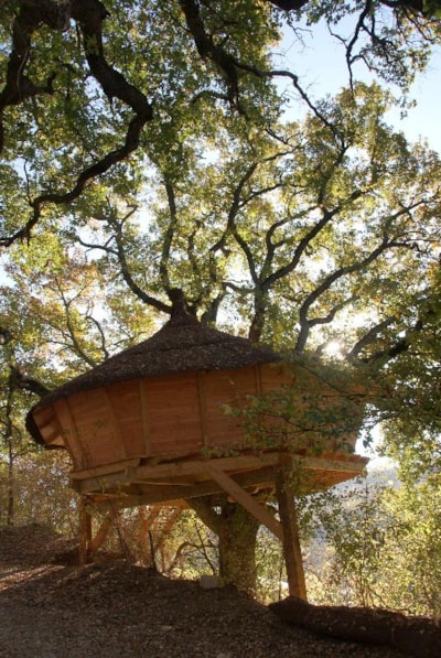 Tree house 24m² 1 bedroom - with toilet blocks