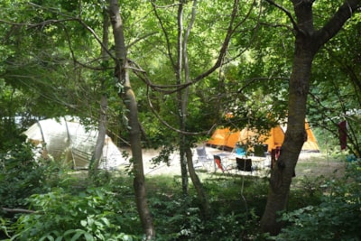 Flower Camping La Beaume