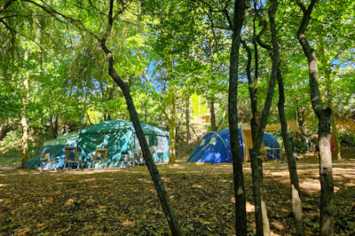 Comfort Package (1 tent, caravan or motorhome / 1 car / electricity 6A)
