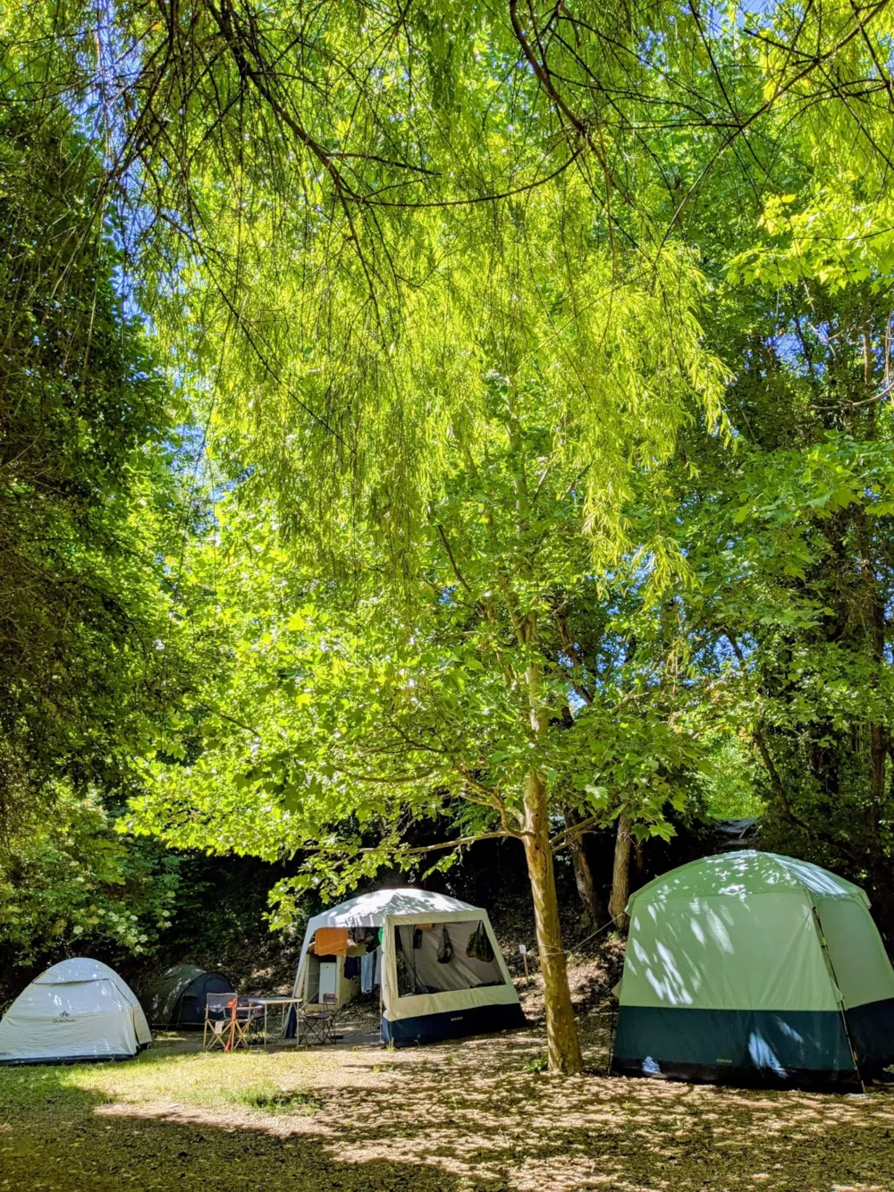 Stellplatz Confort (Zelt, Wohnwagen, Wohnmobil / 1 Auto / Strom 6A)