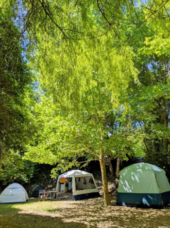 Stellplatz - Stellplatz Confort (Zelt, Wohnwagen, Wohnmobil / 1 Auto / Strom 6A) - Flower Camping La Beaume